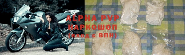 твердый Новодвинск