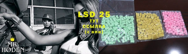 твердый Новодвинск