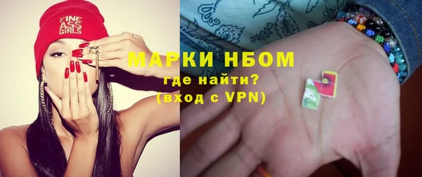 твердый Новодвинск