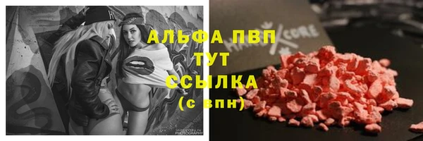 твердый Новодвинск