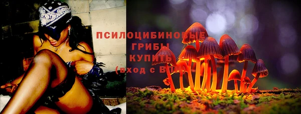 гидропоника Новокубанск