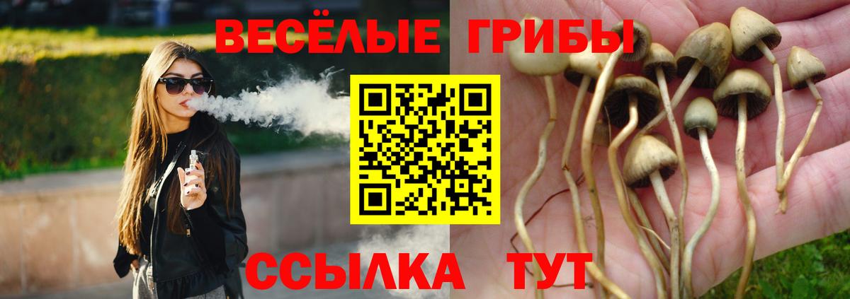 Псилоцибиновые грибы мицелий Барнаул