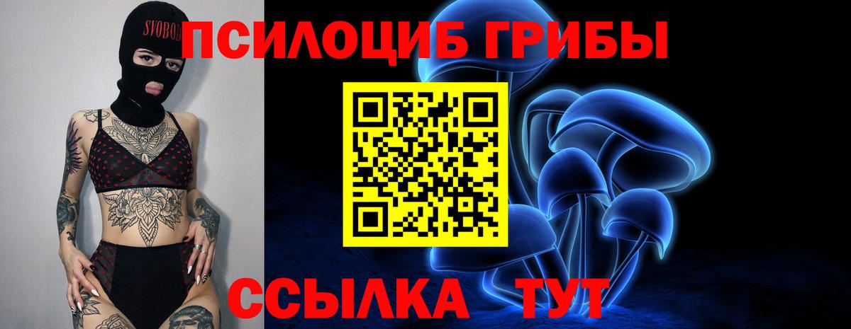Псилоцибиновые грибы Cubensis  Галлюциногенные грибы Psilocybine cubensis  Барнаул  Вход с VPN 
