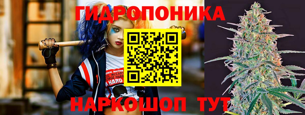 Шишки марихуана марихуана Барнаул